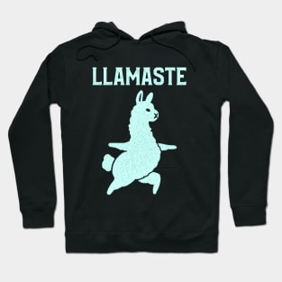 Llamaste Hoodie